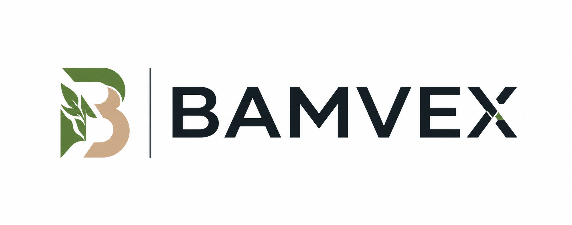 BAMVEX STORE 